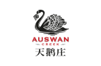 名正式开启｜南澳品牌抢先预览（上）开元棋